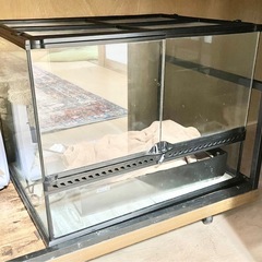 観音開き エキゾテラ 60 爬虫類ケージ ガラス製 スネーク ト...