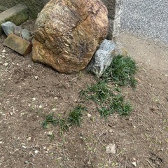 大きな庭石の画像