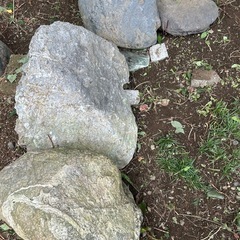 大きな庭石の画像