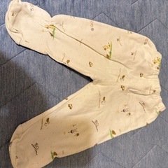 ⑸60cmセットアップの画像