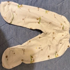 ⑸60cmセットアップの画像