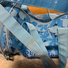 OLIVE des OLIVEプールバックの画像