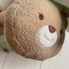 ころりんくまさんの画像