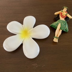 プルメリア 陶器 置物　オブジェの画像