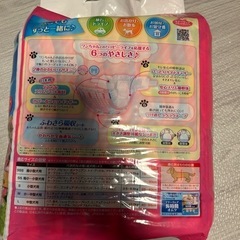 犬用オムツ　Mサイズの画像