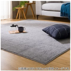 【新品】ニトリほこりが取れやすい洗えるラグの画像