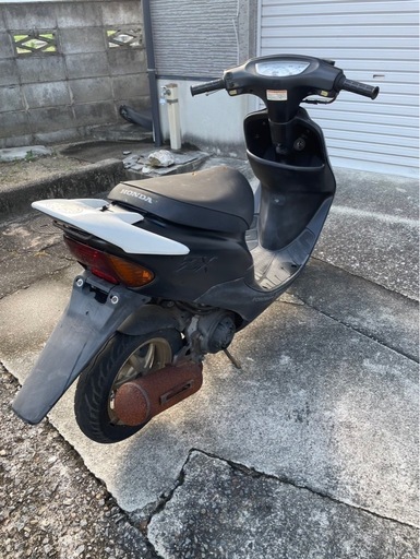 ありがとうございました(◍ ´꒳` ◍)