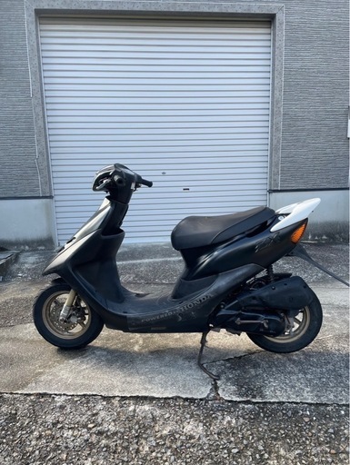 ありがとうございました(◍ ´꒳` ◍)