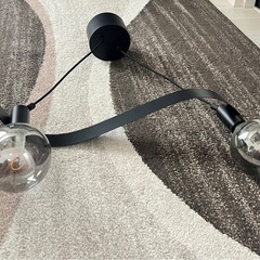 IKEA アッキャ ペンダントランプ, 波形とMOLNART モールナルト電球の画像