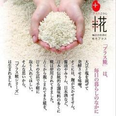 米麹ミルクの画像