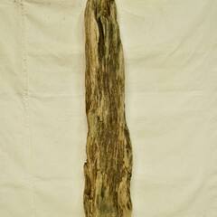 SEASIDEinterior★インテリアディスプレイに流木 Cool driftwood for decorating 154の画像
