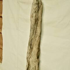SEASIDEinterior★インテリアディスプレイに流木 Cool driftwood for decorating 154の画像