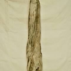 SEASIDEinterior★インテリアディスプレイに流木 C...