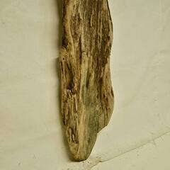 SEASIDEinterior★インテリアディスプレイに流木 Cool driftwood for decorating 154の画像