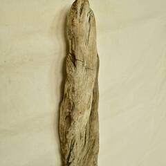 SEASIDEinterior★インテリアディスプレイに流木 Cool driftwood for decorating 154の画像