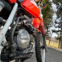 交換可　xlr250md22の画像