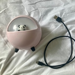 【説明書❌】ＵＳＢ式加湿器（カプセル型、パンダ）