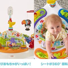 Fisher-Price アニマル・アクティビティ・ジャンパルーの画像