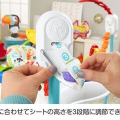 Fisher-Price アニマル・アクティビティ・ジャンパルーの画像