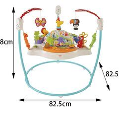 Fisher-Price アニマル・アクティビティ・ジャンパルーの画像