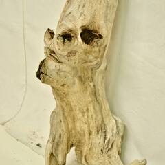 SEASIDEinterior★インテリアディスプレイに流木 Cool driftwood for decorating 153の画像