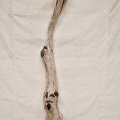 SEASIDEinterior★インテリアディスプレイに流木 Cool driftwood for decorating 153の画像