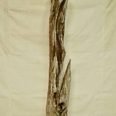 SEASIDEinterior★インテリアディスプレイに流木 C...