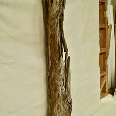 SEASIDEinterior★インテリアディスプレイに流木 Cool driftwood for decorating 155の画像