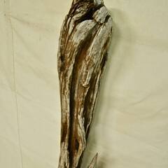 SEASIDEinterior★インテリアディスプレイに流木 Cool driftwood for decorating 155の画像