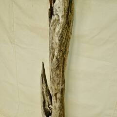 SEASIDEinterior★インテリアディスプレイに流木 Cool driftwood for decorating 155の画像