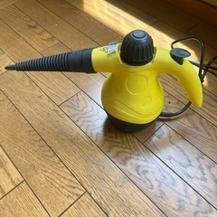 ハンディスチーマー