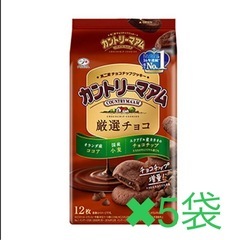 不二家　カントリーマアム　厳選チョコ　　12袋入り✖️5袋