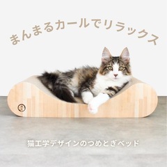 猫壱　つめとぎベッドの画像