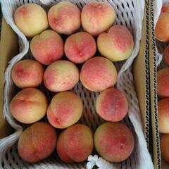 小牧しのおかの桃　日川白鳳　15個入小箱1箱　税込850円の画像