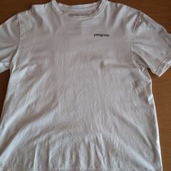 🔳patagonia Tシャツ