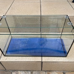 兵庫県の水槽の中古が安い！激安で譲ります・無料であげます