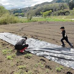 園芸 家庭菜園 畑 花壇等に 100%無農薬マット リサイクル土 の画像