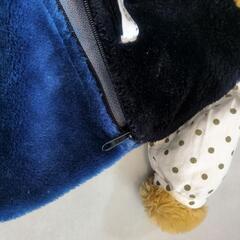 くま　人形　ぬいぐるみ　の画像