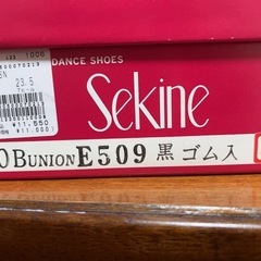 ダンスシューズの画像