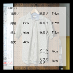 05　緑シャツ 半袖 ハッシュパピーMの画像
