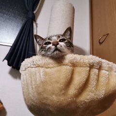 家族として受け入れてくれる方