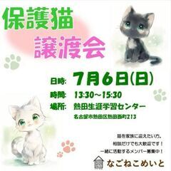 【名古屋市熱田区】猫の譲渡会
