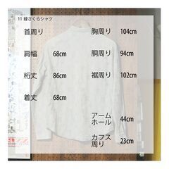 11　SHIPS 緑さくらシャツの画像