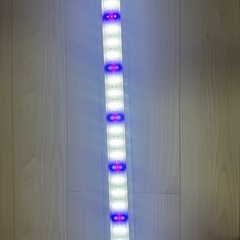 テトラ　90 ライトの画像