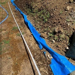 【無料】庭の残土 譲ります（
引き取り限定）の画像