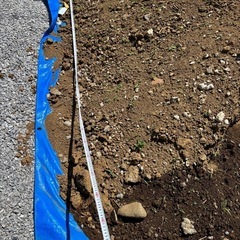 【無料】庭の残土 譲ります（
引き取り限定）の画像