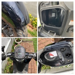 ダンク DUNK AF74 ホンダ 原付 HONDA 50ccの画像