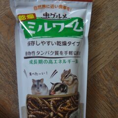 乾燥ミルワーム　小動物の餌の画像