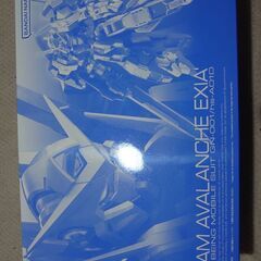 プレバン限定　RG アヴァランチエクシアダッシュの画像