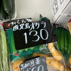 鹿児島県産のオクラ初入荷しましたー✨